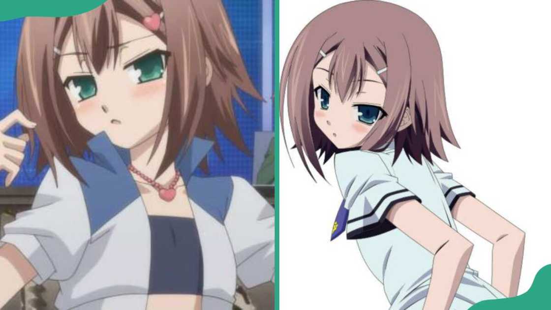 Hideyoshi Kinoshita from Baka and Test: Summon the Beasts (Baka to Test to Shoukanjuu) Hideyoshi Kinoshita from Baka and Test: Summon the Beasts (Baka to Test to Shoukanjuu)