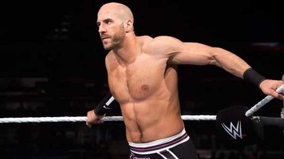 10 most delightful to watch WWE wrestlers of 2016 10 most delightful to watch WWE wrestlers of 2016