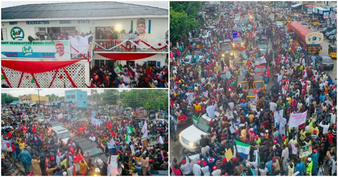 New Nigeria Peoples Party (NNPP), Rabiu Musa Kwankwaso, Maiduguri, Borno State capital, Senator Ibrahim Shekarau, 2023 election New Nigeria Peoples Party (NNPP), Rabiu Musa Kwankwaso, Maiduguri, Borno State capital, Senator Ibrahim Shekarau, 2023 election