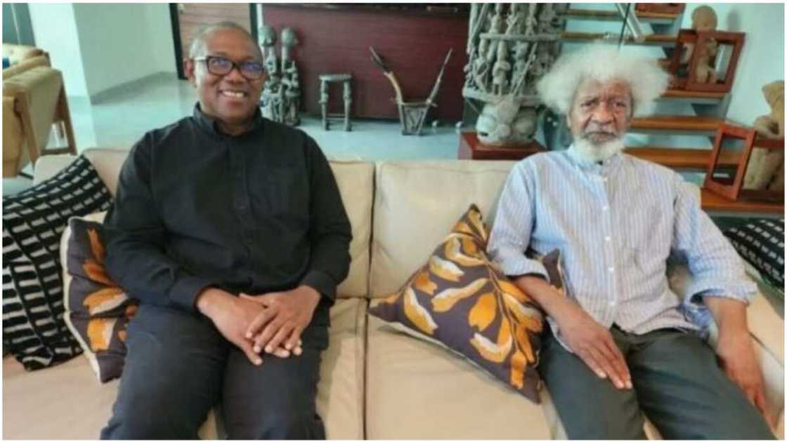 Wole Soyinka/Peter Obi/Obidient Family/Labour Party/2023 Election Wole Soyinka/Peter Obi/Obidient Family/Labour Party/2023 Election