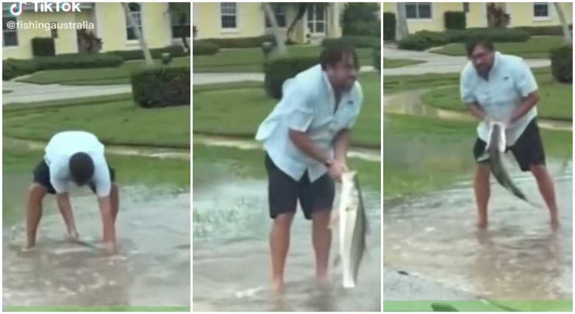 Photos shows a man who caught fish in the streets of Florida. Photos shows a man who caught fish in the streets of Florida.