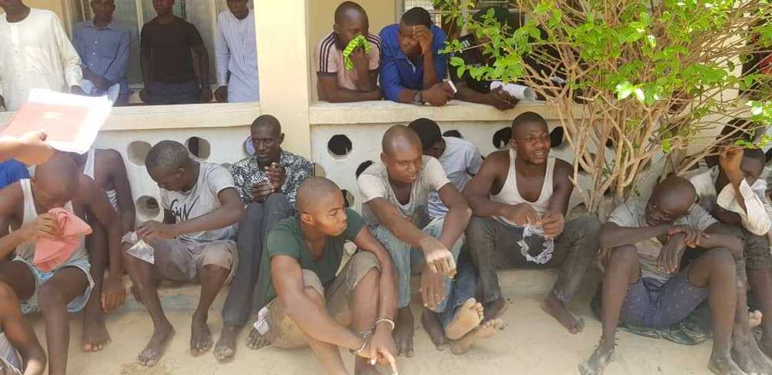 Rundunar 'yan sanda tayi bajakolin kayan laifi da masu laifi da 'yan ta'adda fiye da 50 a Borno (Hotuna) Rundunar 'yan sanda tayi bajakolin kayan laifi da masu laifi da 'yan ta'adda fiye da 50 a Borno (Hotuna)