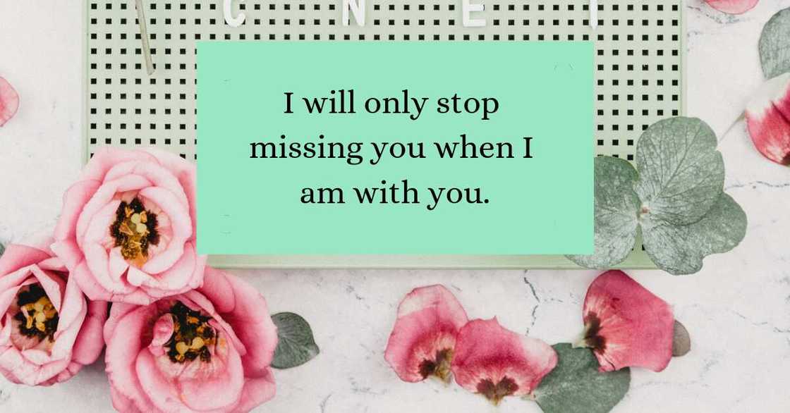 Sweet quotes Sweet quotes