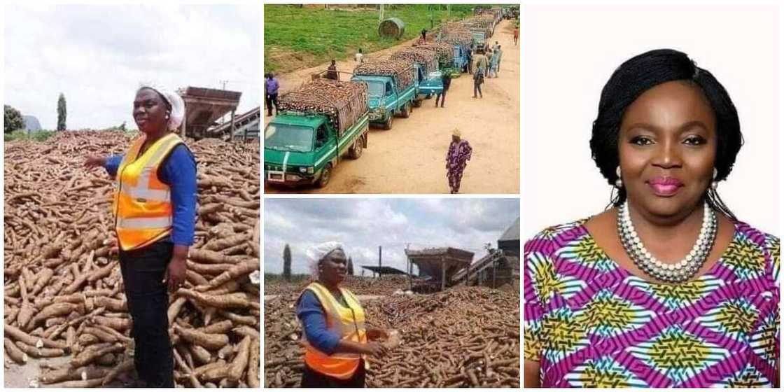 Meet Yemisi Iranloye, the Nigerian lady dubbed queen of cassava