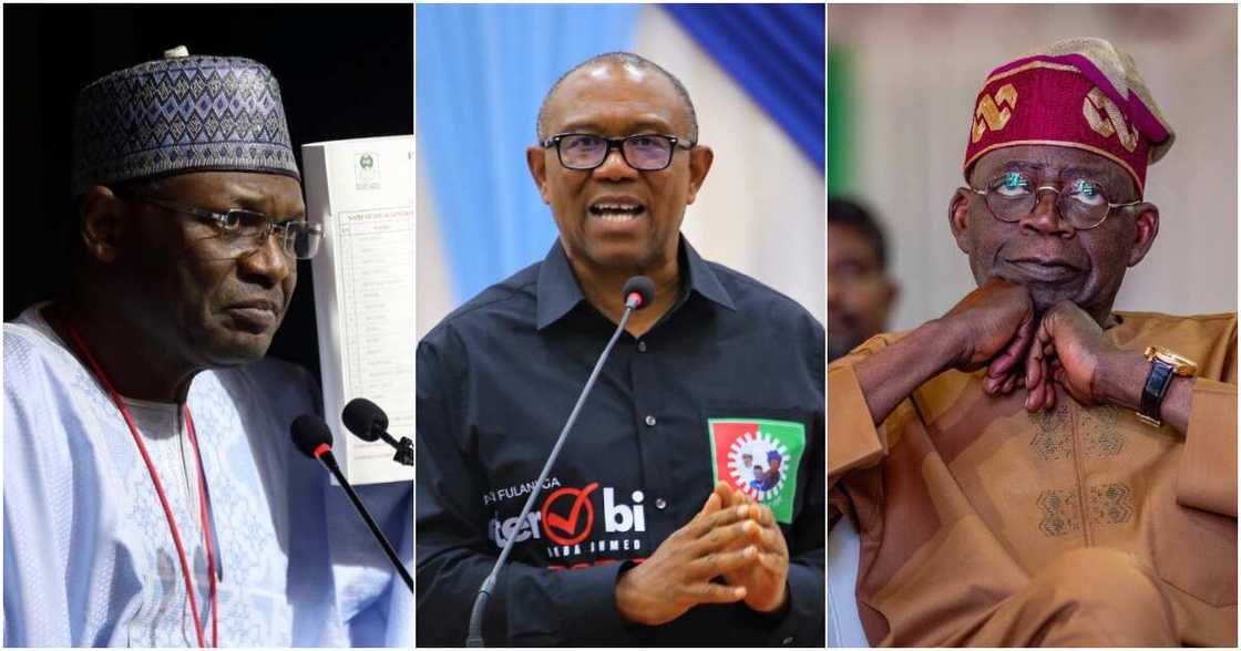 2023 elections, Bola Tinubu, Peter Obi, INEC, Labour Party, APC 2023 elections, Bola Tinubu, Peter Obi, INEC, Labour Party, APC