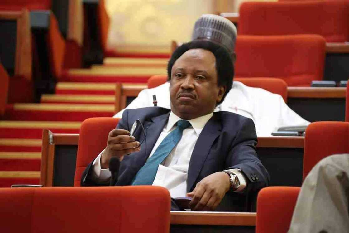 Ba a turawa Shehu Sani kudi a asusunsa ba – Shaidawa sun fadawa kotu Ba a turawa Shehu Sani kudi a asusunsa ba – Shaidawa sun fadawa kotu