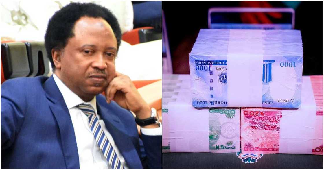 New naira notes, CBN, Shehu Sani New naira notes, CBN, Shehu Sani