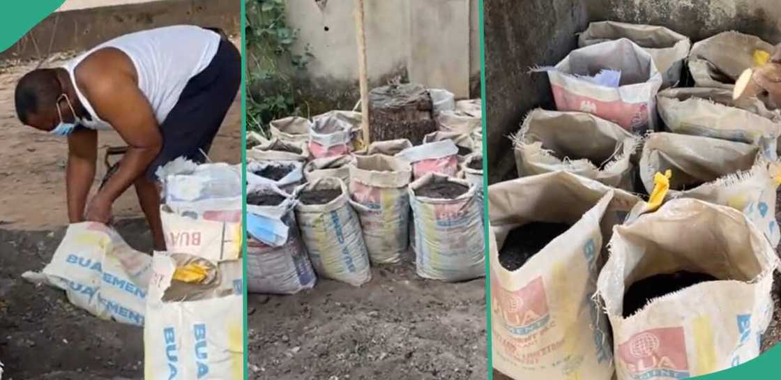 Man uses empty Dangote Cement bags to farm. Man uses empty Dangote Cement bags to farm.