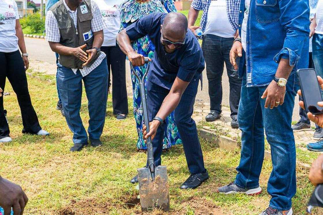 Mobus, Tree Planting