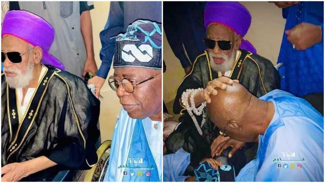 Sheikh Dahiru Usman Bauchi/Tinubu/APC Presidential Candidate/2023 Elections Sheikh Dahiru Usman Bauchi/Tinubu/APC Presidential Candidate/2023 Elections