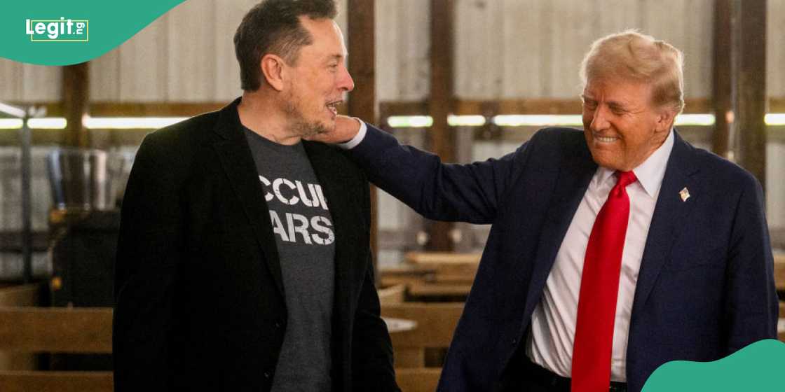 President Trump has addressed rumours about deporting Elon Musk to his native South Africa. President Trump has addressed rumours about deporting Elon Musk to his native South Africa.