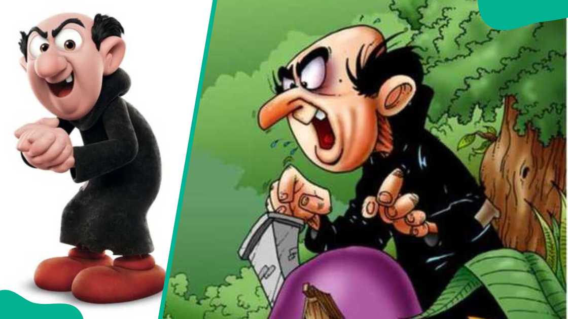 Gargamel from The Smurfs