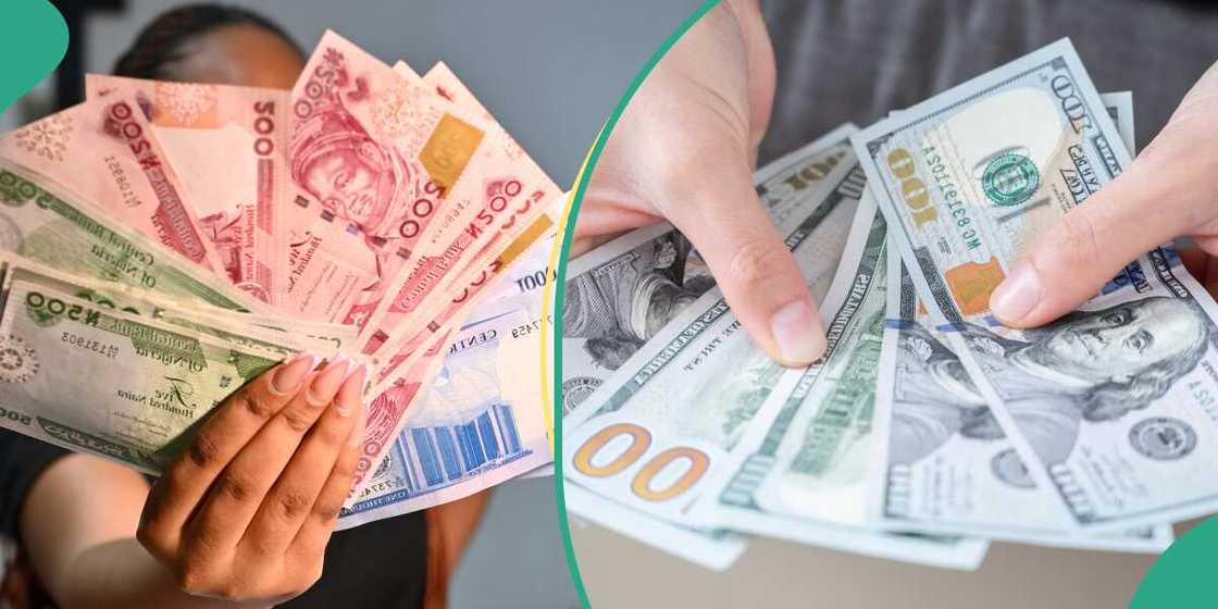 FX market see surge in turnover FX market see surge in turnover