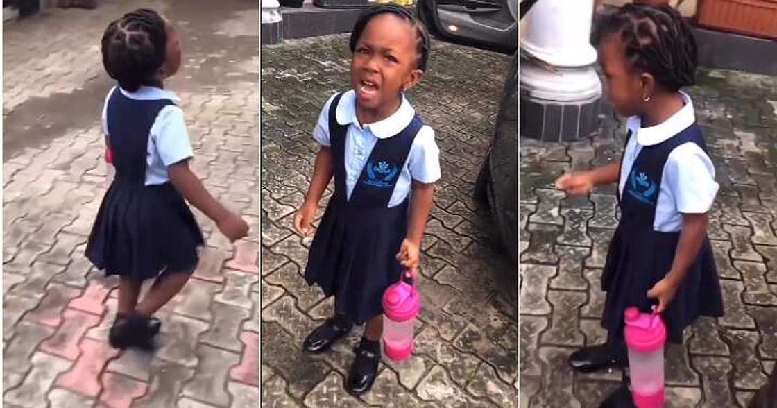 Little girl kills snail, apologizes to snail, emotional