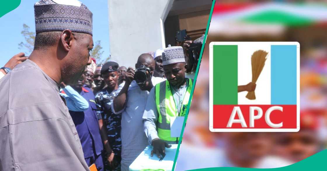 Gwamna Zulum. Gwamna Zulum.