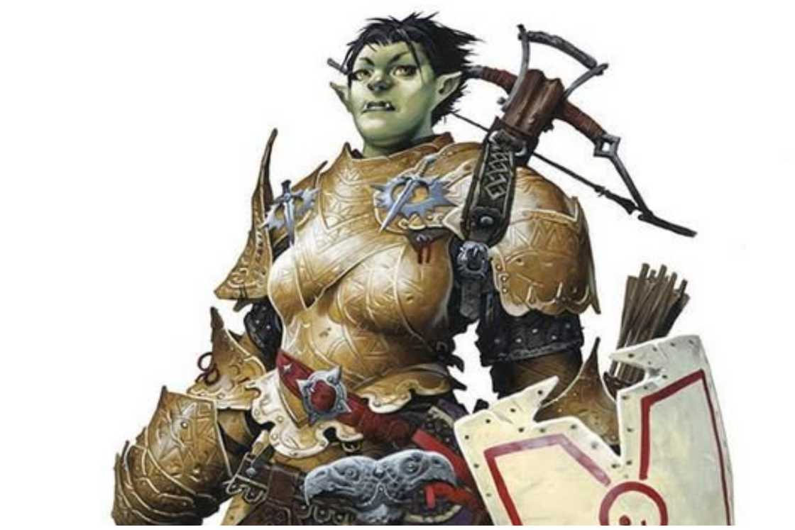 Half-Orc Half-Orc