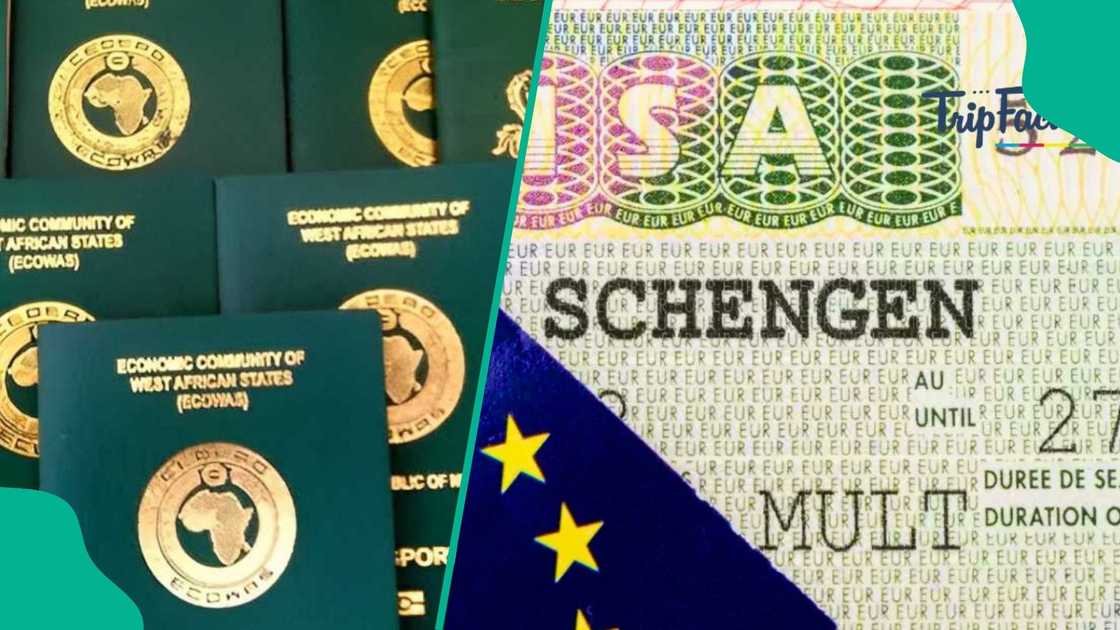 The major things you need to avoid while applying for a Schengen visa have been compiled. The major things you need to avoid while applying for a Schengen visa have been compiled.