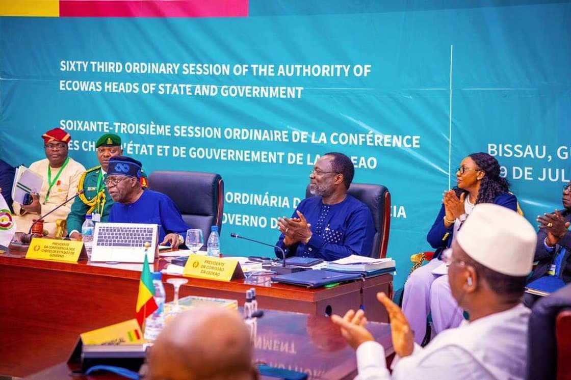 Sanatoci sun ki muradin Tinubu Sanatoci sun ki muradin Tinubu