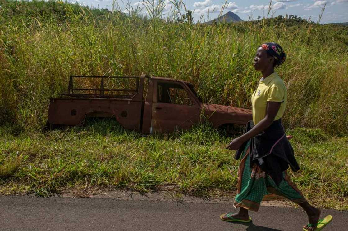 Burned-out carcasses of pickups, already overgrown with tall grass, still dot the landscape in Mozambique Burned-out carcasses of pickups, already overgrown with tall grass, still dot the landscape in Mozambique