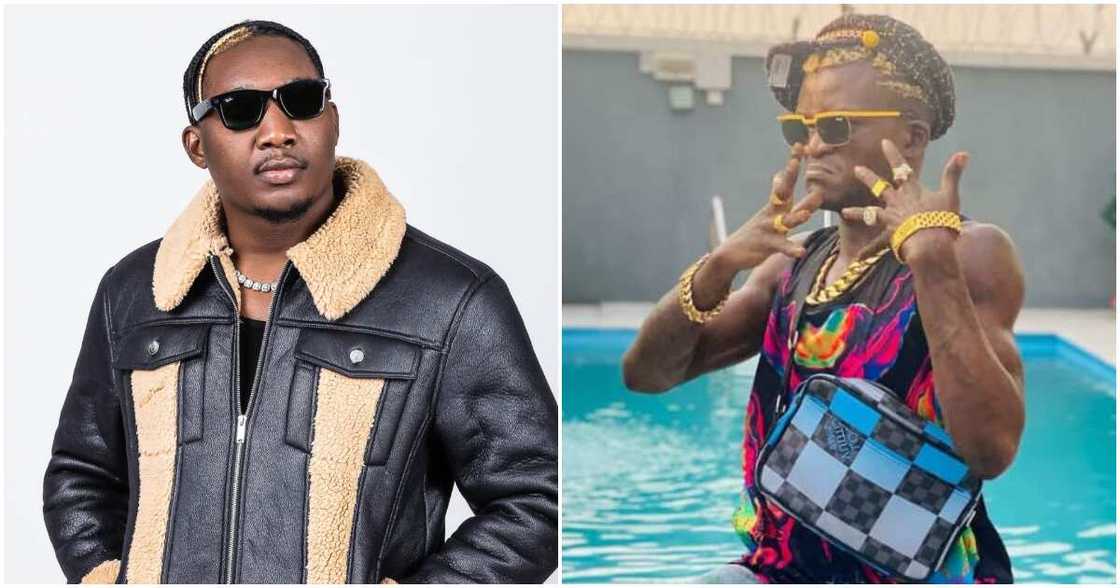 Portable Zazu, Goya Menor Portable Zazu, Goya Menor