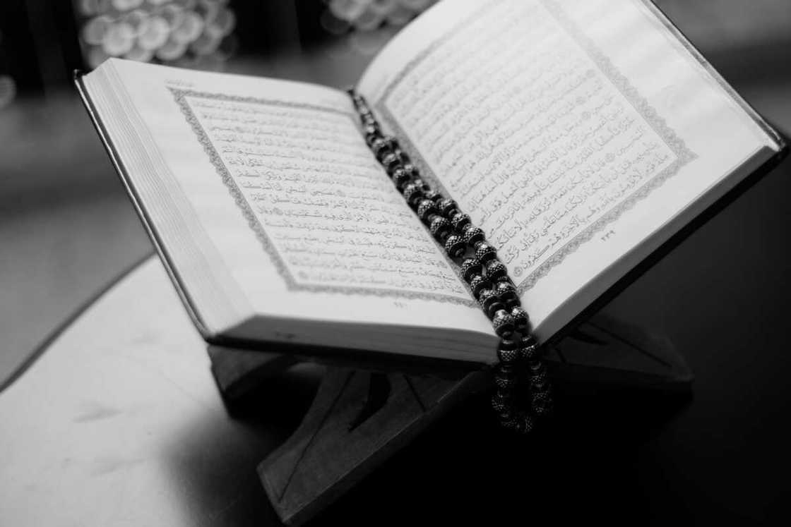 Ramadan Day 11: Islamic ruling on giving amnesty to terrorists, bandits and kidnappers Ramadan Day 11: Islamic ruling on giving amnesty to terrorists, bandits and kidnappers