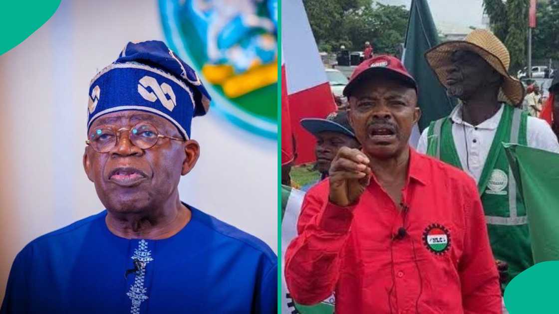 "Suspend Tax Law Now": NLC Tells Federal Government, Reason Emerges