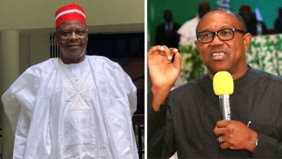 Peter Obi ya caccaki Kwankwaso Peter Obi ya caccaki Kwankwaso