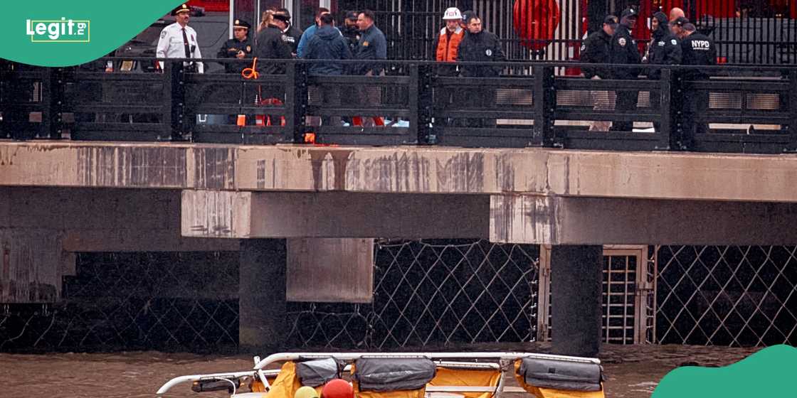 Helicopter crash kills Siemens executive, family and pilot in US Helicopter crash kills Siemens executive, family and pilot in US