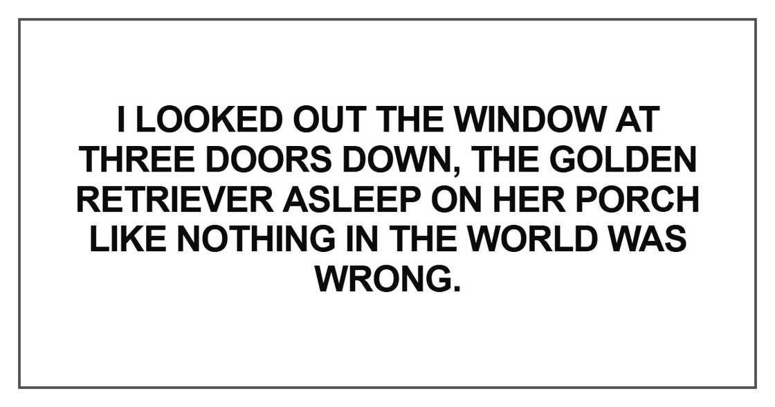 I looked out the window at three doors down, the golden retriever asleep I looked out the window at three doors down, the golden retriever asleep