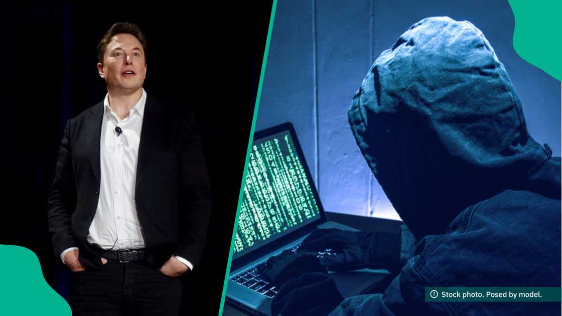 Elon Musk predicts trend of cryptocurrency