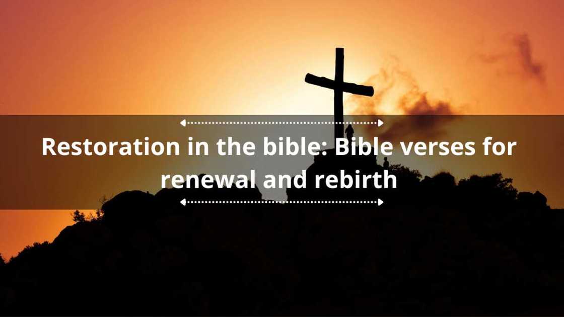 Restoration in the bible verses for renewal and rebirth.