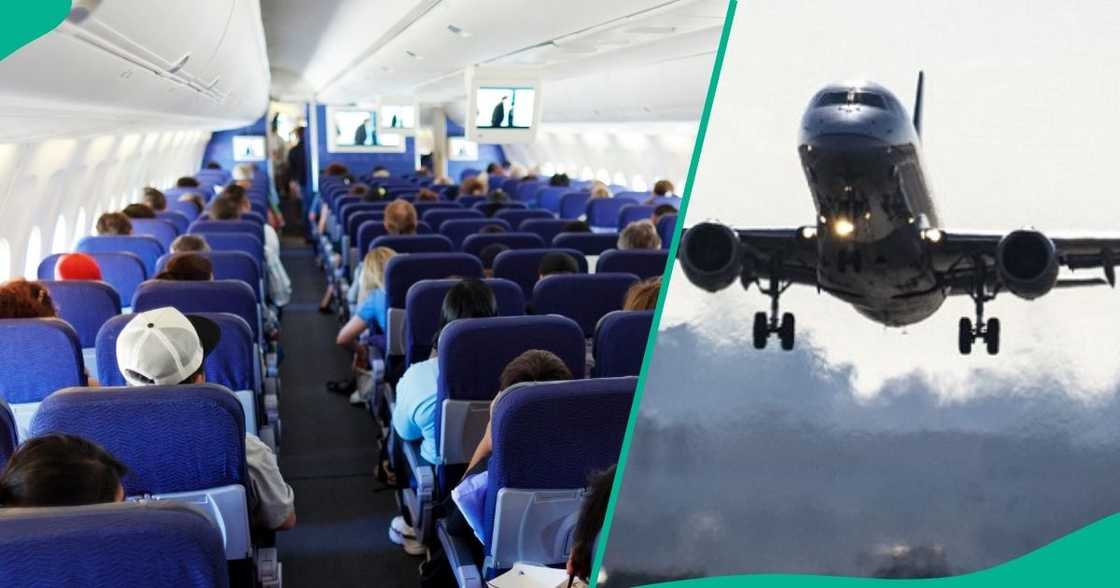 United Airlines says investigation ongoing despite apologies from Mr Jollof and VDM.