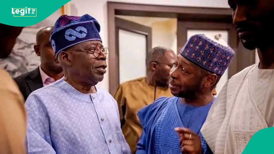 AA Zaura, Bola Tinubu
