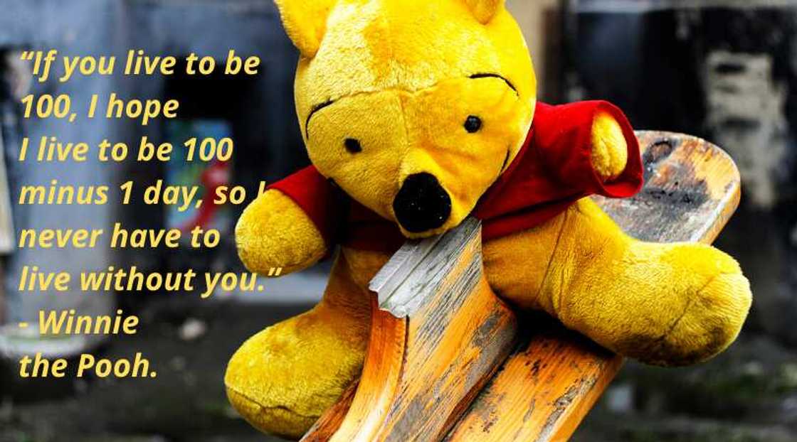 thank you quotes for friends thank you quotes for friends