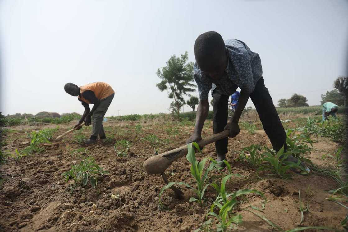 Terror attacks in several states has led to the demise of over 160 farmers nationwide Terror attacks in several states has led to the demise of over 160 farmers nationwide