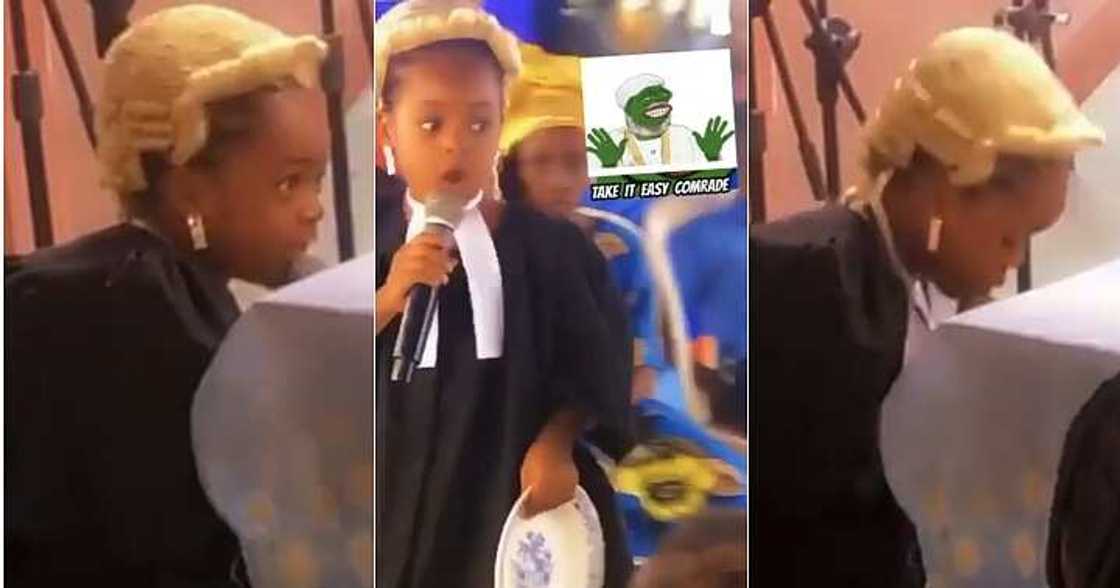 Little girl breaks plate, little lawyer