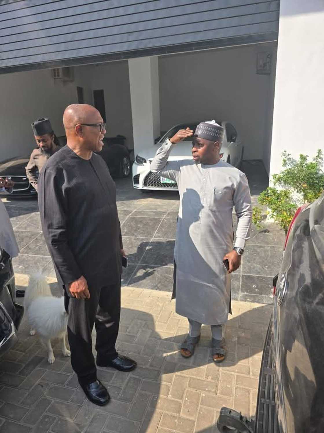 Peter Obi ya gana da jigon APC Peter Obi ya gana da jigon APC