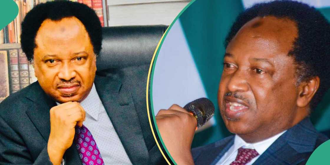 Shehu Sani drops cryptic tweet on who may win/Shehu Sani drops cryptic tweet on who tribunal may declare winner