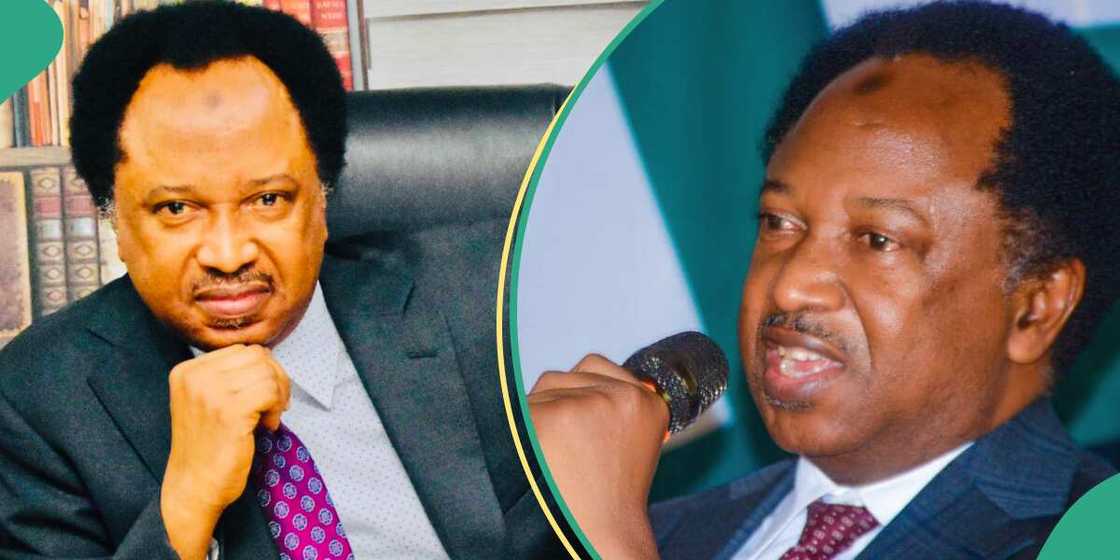 Shehu Sani blasts Kaduna tribunal “confusing” over governorship poll judgement Shehu Sani blasts Kaduna tribunal “confusing” over governorship poll judgement