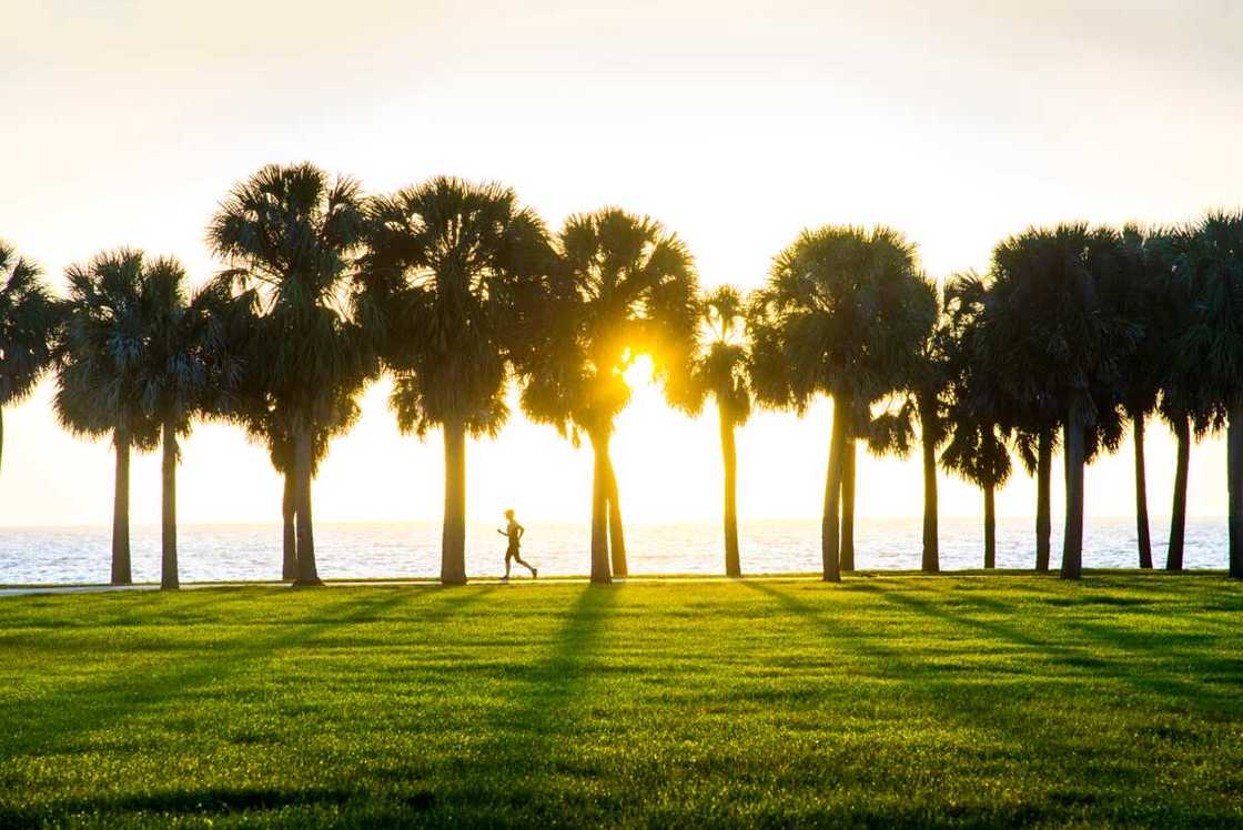 Hottest state in USA Hottest state in USA