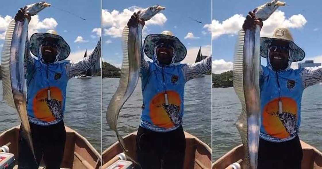 Fisherman shows off oarfish he caught