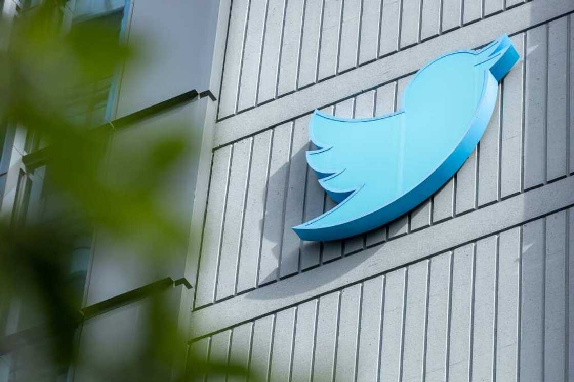 The first rollout of Twitter's paid subscription plan caused an uproar when many fake accounts popped up pretending to be celebrities or companies and Elon Musk's team was forced to swiftly suspend the new program The first rollout of Twitter's paid subscription plan caused an uproar when many fake accounts popped up pretending to be celebrities or companies and Elon Musk's team was forced to swiftly suspend the new program