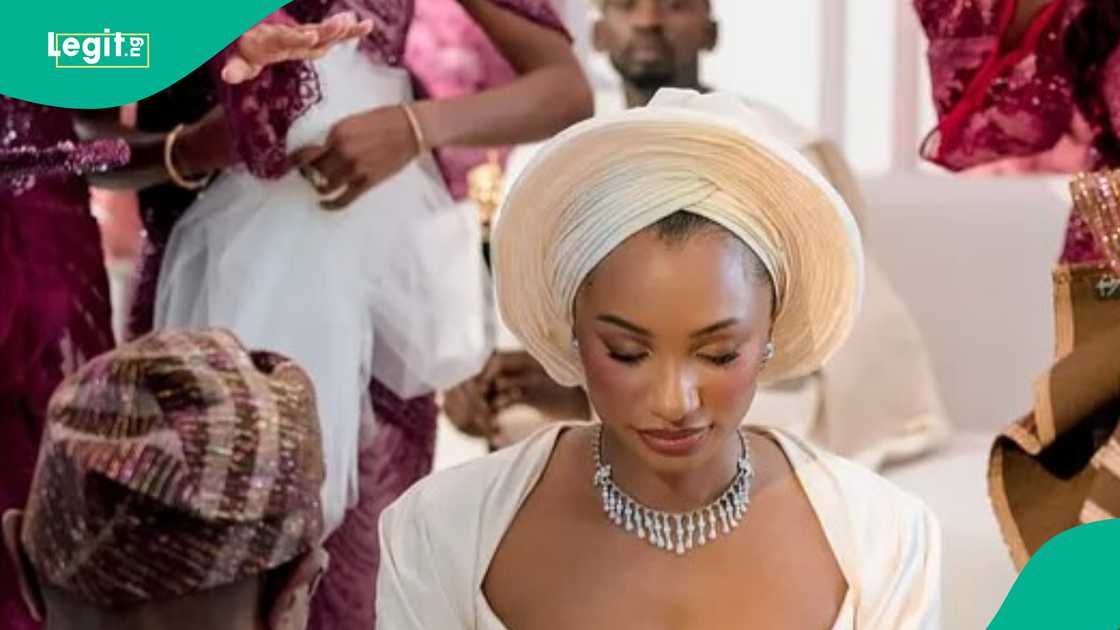 Tunde Ednut ignites comparison between Chivido, JP2025 and TheLoveisEasy with new post. Tunde Ednut ignites comparison between Chivido, JP2025 and TheLoveisEasy with new post.