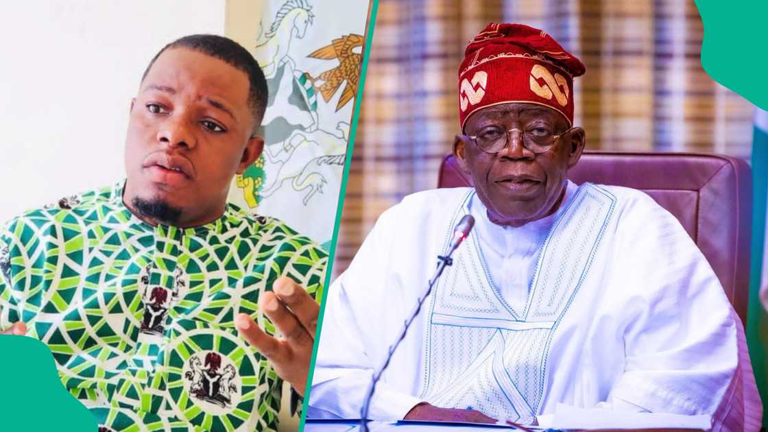 Academic papers aren't everything: Obidike defends Tinubu's leadership