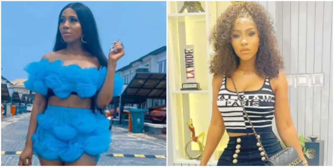 Who English Help? Nigerians React as BBNaija's Mercy Replies lady who made Fun of Her Grammar in a Video Who English Help? Nigerians React as BBNaija's Mercy Replies lady who made Fun of Her Grammar in a Video