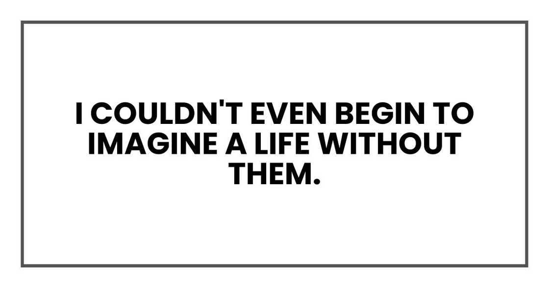I couldn't even begin to imagine a life without them. I couldn't even begin to imagine a life without them.