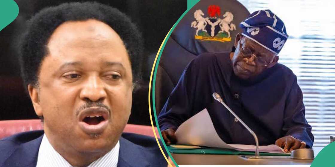 Shehu Sani hails Tinubu for banning homosexuality in military