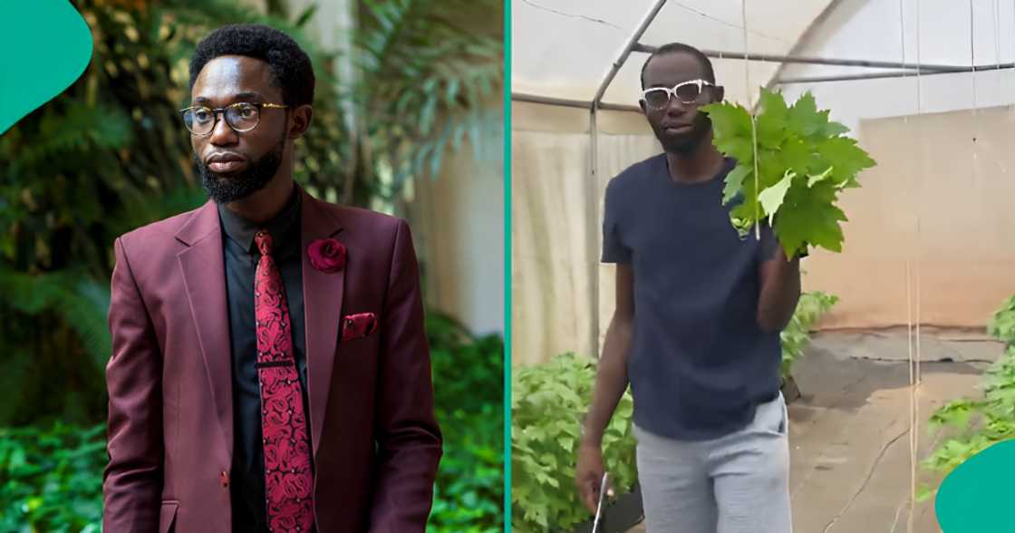 Man who attended four universities ends up becoming farmer Man who attended four universities ends up becoming farmer