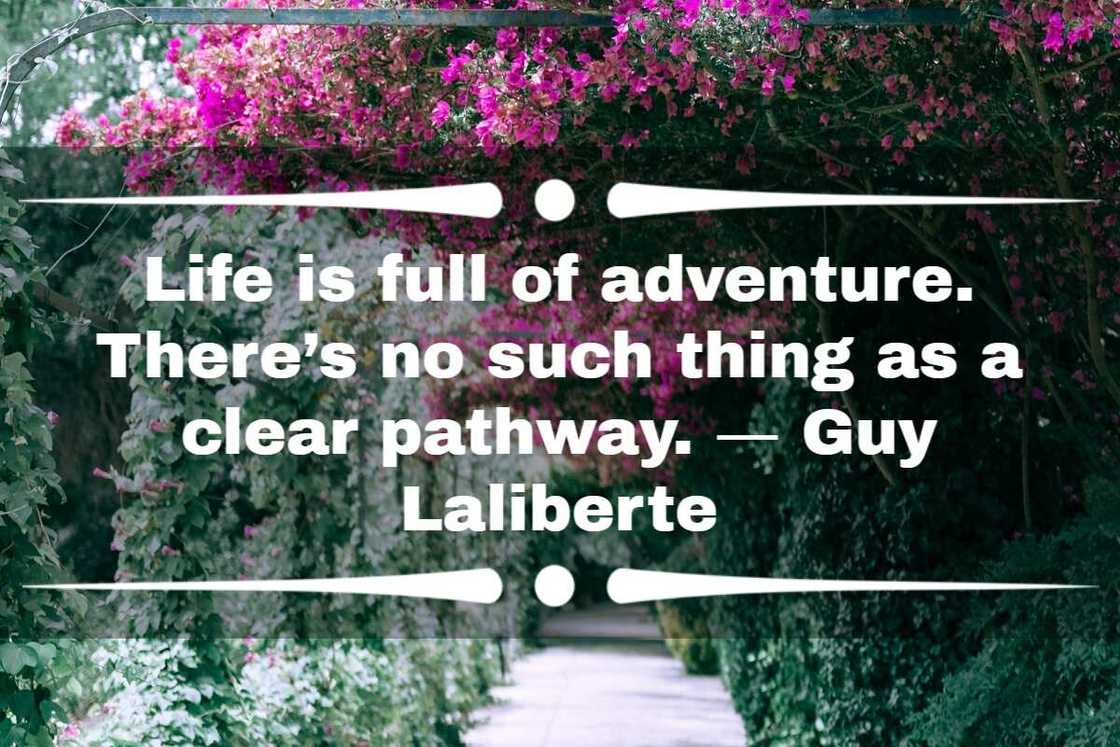Footpath Quotes