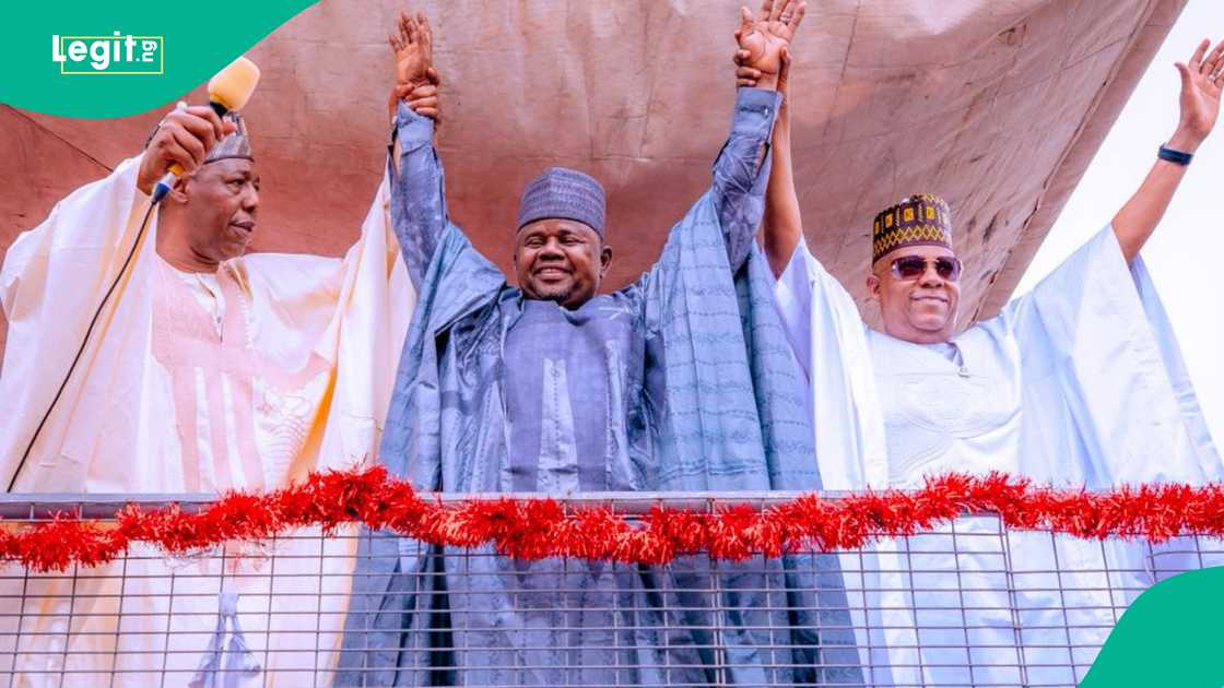 Gubio emerges as APC Borno governorship candidate